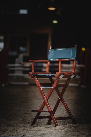 One Director Chair High