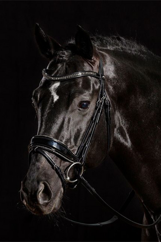 Stanford Glam Trense