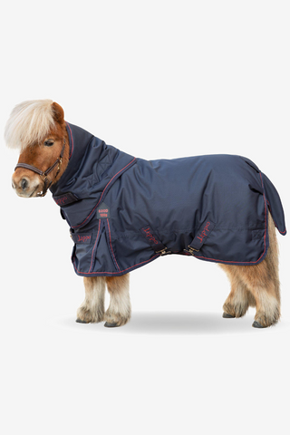 Basic Plus Pony 100G