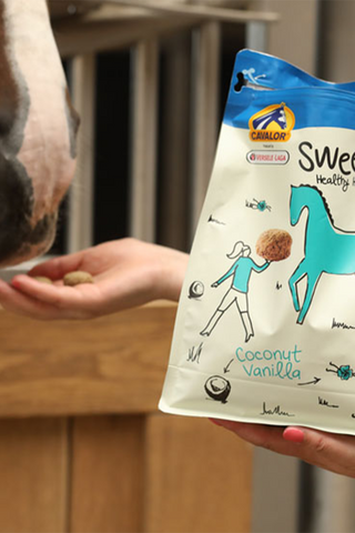 Horse Treats Sweeties
