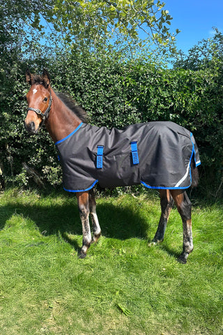 Amigo Ripstop 900D 200g Føldækken Sort/Blå