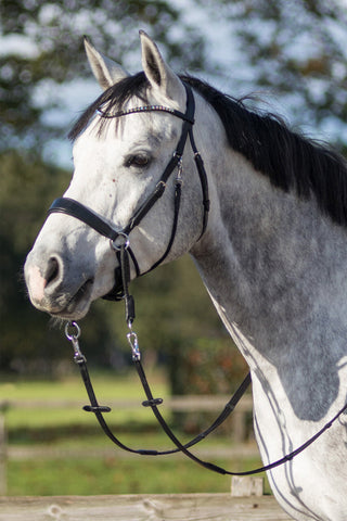 Bitloos Hoofdstel Sunna Zwart