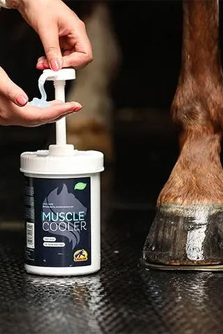 Muscle Cooler 1L
