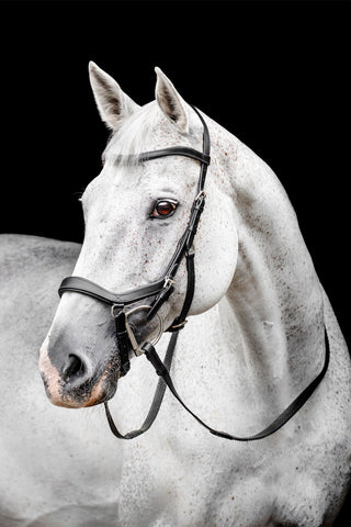 Micklem Competition Trense Sort