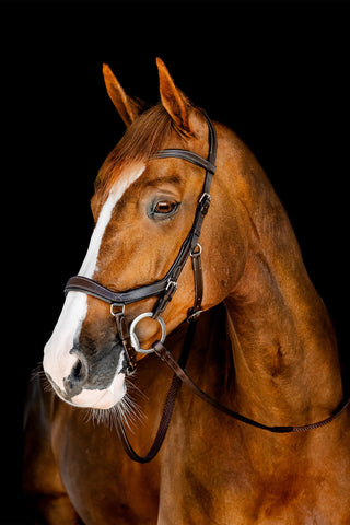 Horseware Micklem Competition Trense Dark Havana