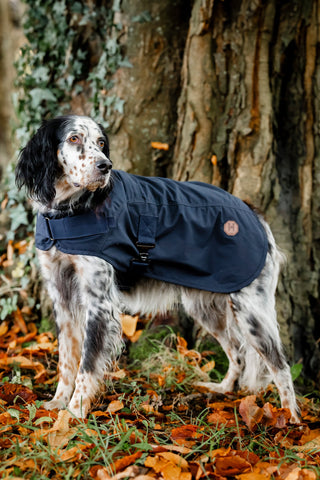 Newmarket Heritage Hundedækken S Navy