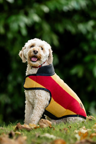 Newmarket Hondenfleece S Witney Gold