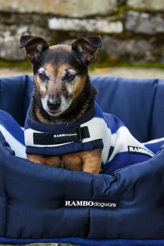 Rambo Deluxe Hondendeken