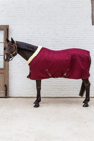 Show Rug Derka stajenna 160G Bordeaux