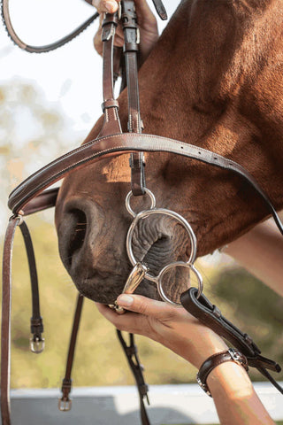 HS PESSOA 3-RINGS 3-PART