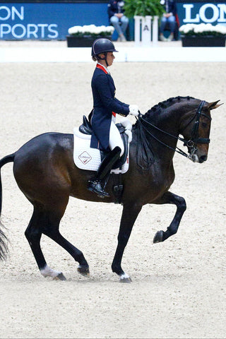 Competition Dressurunderlag
