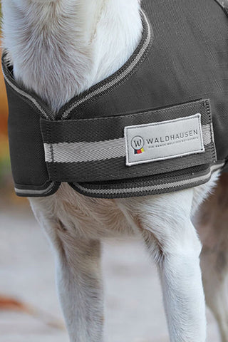 Honden deken Comfort 200g Asphalt