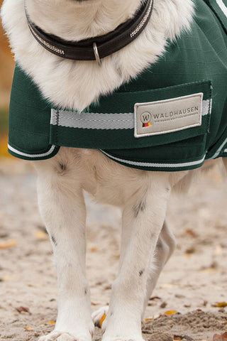 Honden deken Comfort 200g Fir Green