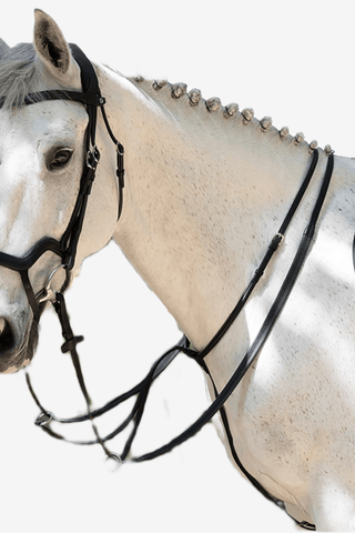 Antares Träns Precision Y-Nosgrimma