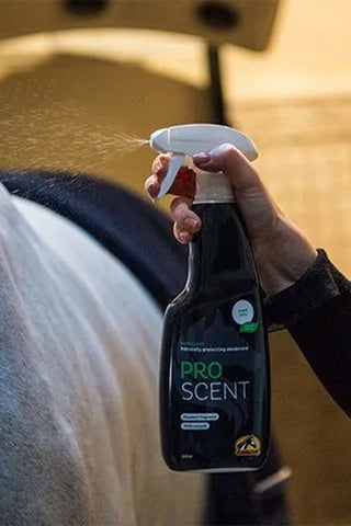 Proscent 500ml