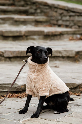 Teddy Fleece Hondentrui