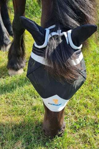 Fly Hood with Forelock Hole