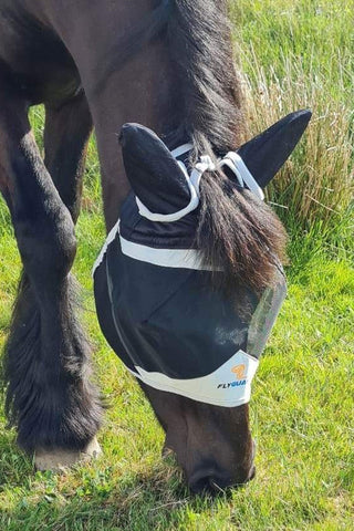 Fly Hood with Forelock Hole