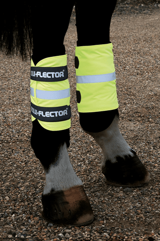 Shires Equi-Flector Benreflexer Kardborre