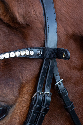 Siena Bridle