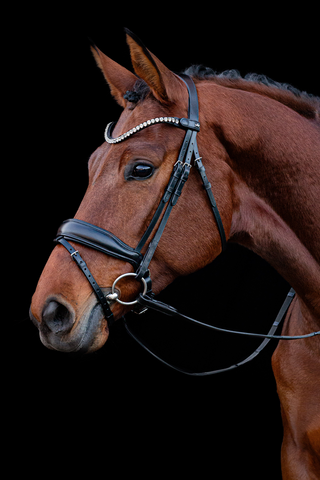 Siena Bridle