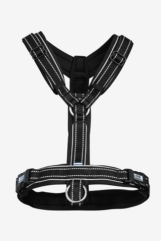Foal Harness