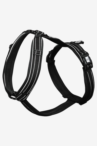 Foal Harness