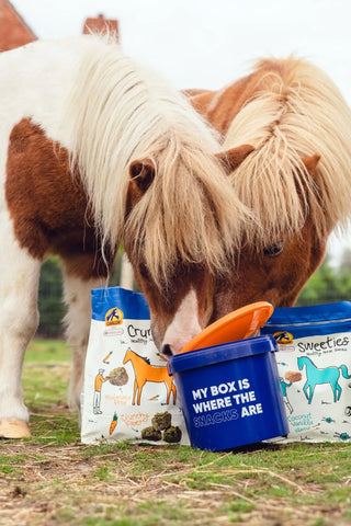 Strucies Snacks 1,5kg
