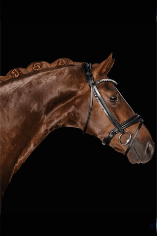 Utzon Equestrian Träns London