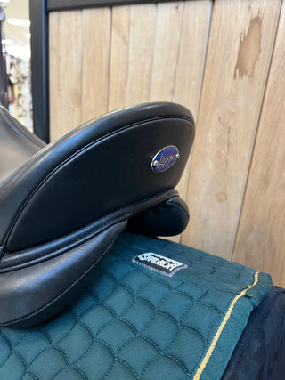 Rivello Elice Dressur Pony