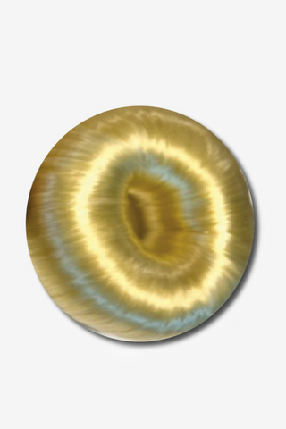Haardonut