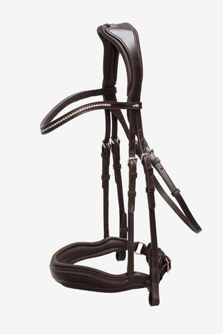 Slimford Bridle