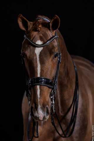 Milan Glam Kandartrense