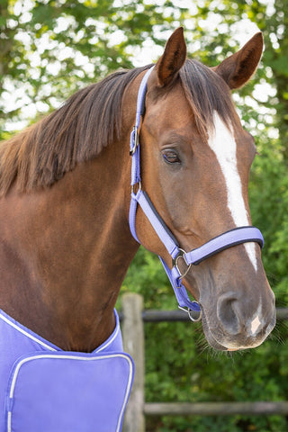 Halter Deluxe Paars