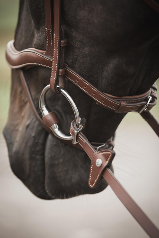 Eccelente Gummitøjler med Stop Buckle Loop Cognac