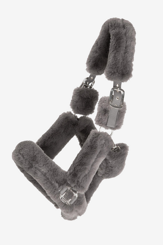 Licol Cozy avec Fourrure Gris