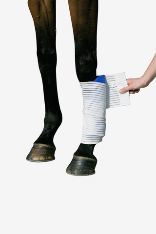 Cryo Elastic Bandage
