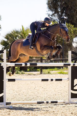 Saddle Pad Classic Jump