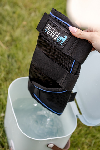 Health + Care Ice Protection
