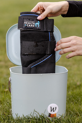 Health + Care Ice Protection