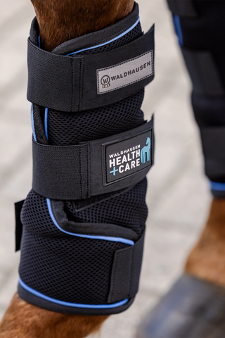 Health + Care Ice Protection