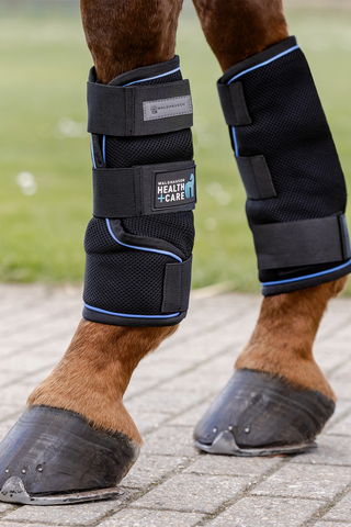 Health + Care Ice Protection