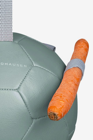 Toy Carrot Ball