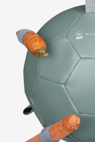 Legetøjs Gulerodsbold