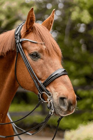 Turnado Bridoon 2-Part 14mm