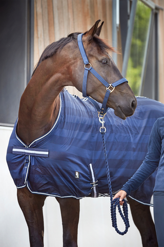 Sweat Rug Navy