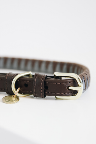 Triangle Dog Collar