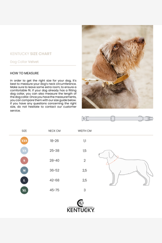 Velvet Hundehalsbånd