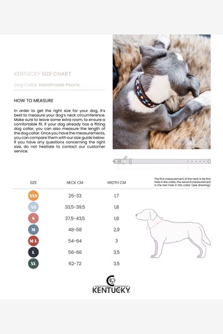 Pearls Dog Collar