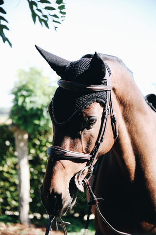 Stone & Pearl Izolowany Nausznik Czarny